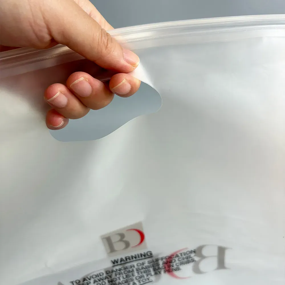Clear Slider Bags with Die-Cut Handle