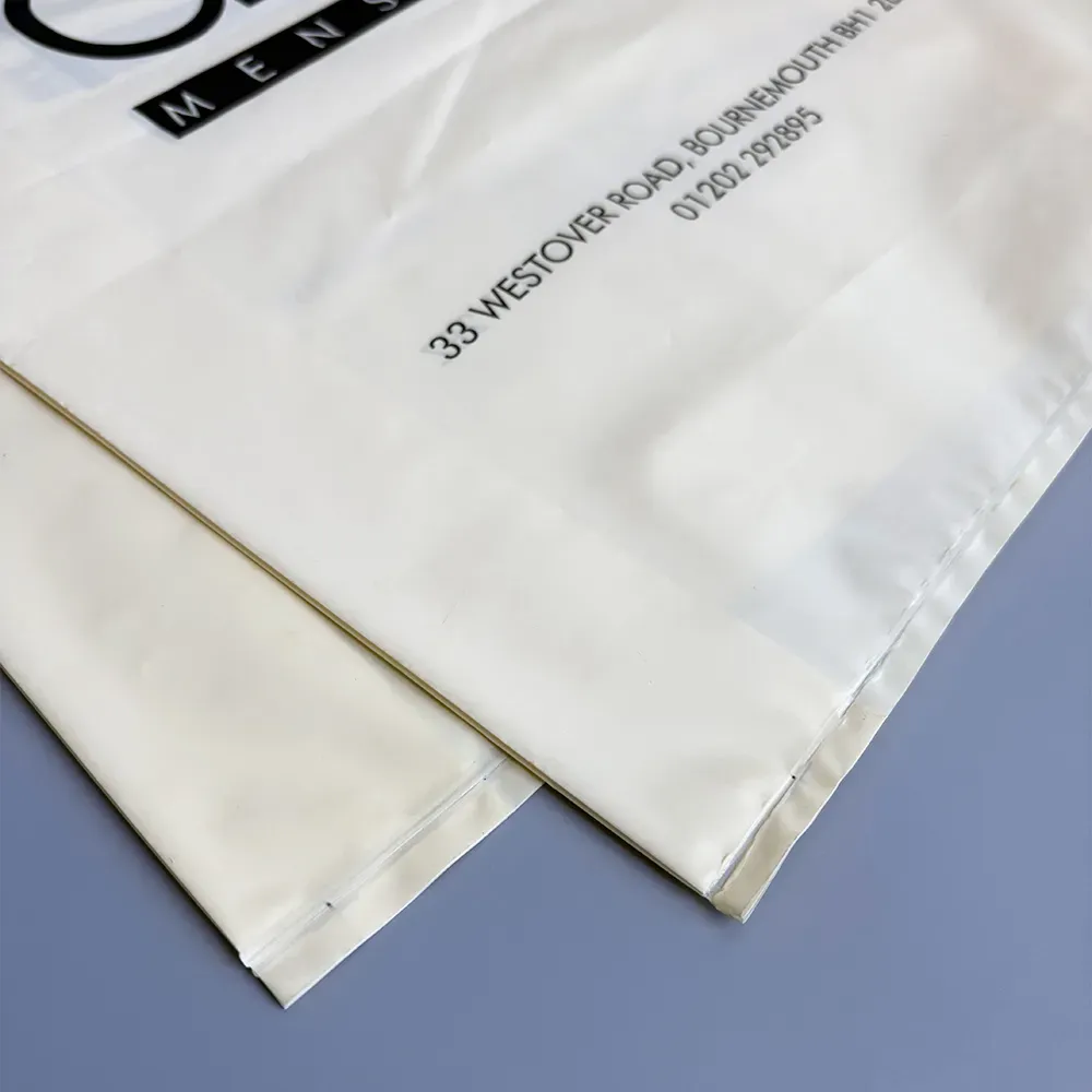plastic bag with zipper and handle